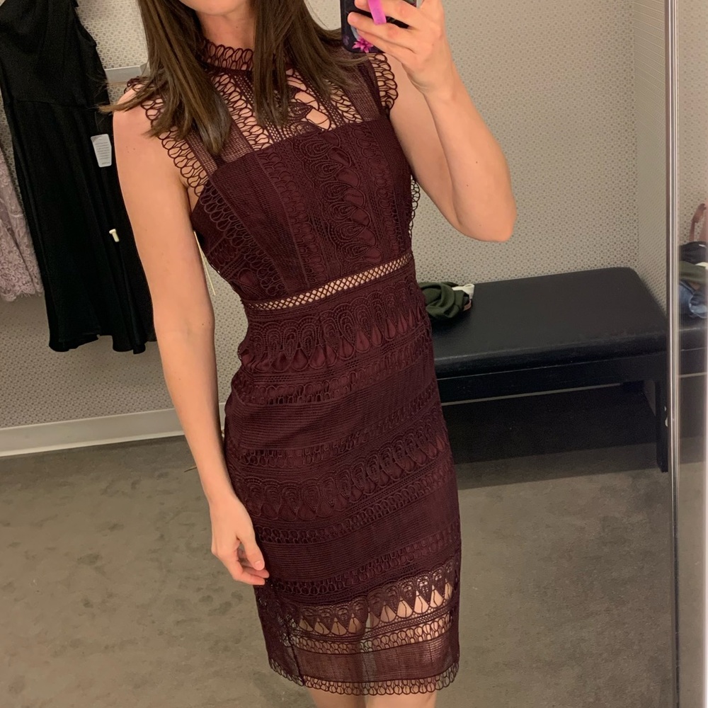 Bardot Mariana Lace Body Con Dress Size Small/6